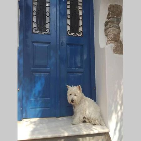 Blue & White: An Absolute Aegean Dream House Villa Galini  Dış mekan fotoğraf