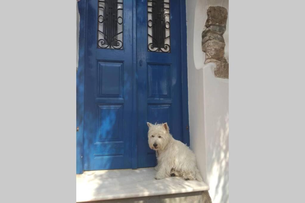Blue & White: An Absolute Aegean Dream House Villa Galini  Dış mekan fotoğraf